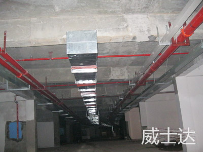 長(zhǎng)沙青竹湖水印加州2