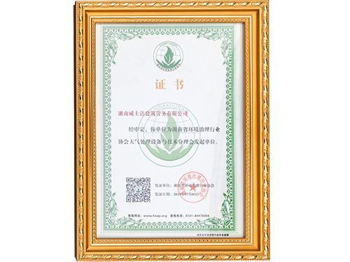 榮譽(yù)證書(6)